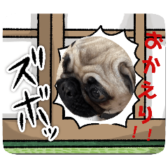 [LINEスタンプ] 可愛いwanwanスタンプ