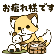 [LINEスタンプ] キツネの狐丸  -敬語-