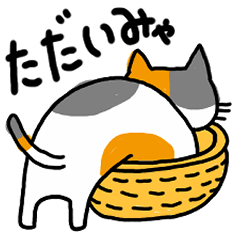 [LINEスタンプ] ゆるねこ～日常編～