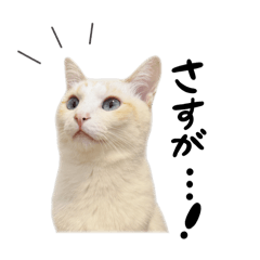 [LINEスタンプ] ロイルとニコル
