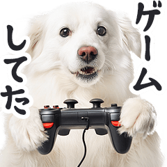 [LINEスタンプ] リアルな白い犬ミーム（お返事多め）