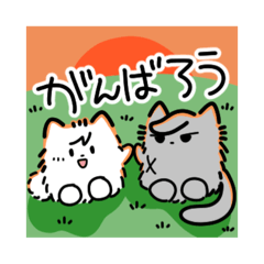 [LINEスタンプ] ポメオと時々ノラオ 原稿編