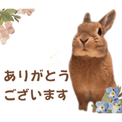 [LINEスタンプ] ぷうぷうふうちゃんとギーギーたろやん2