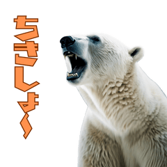 [LINEスタンプ] リアルシロクマ