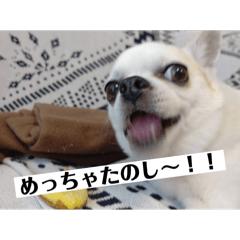 [LINEスタンプ] みいこはちょこくーにもみかめの画像（メイン）