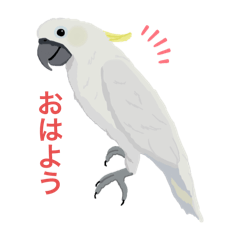 [LINEスタンプ] Flap‐Bird