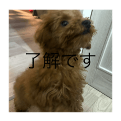 [LINEスタンプ] といちゃまスタンプ