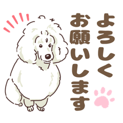 [LINEスタンプ] 笑顔いっぱいスタンプー