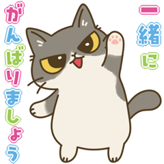 [LINEスタンプ] やさしいフォローねこちゃんの画像（メイン）