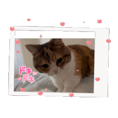 [LINEスタンプ] ナナメメ