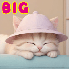 [LINEスタンプ] 帽子が可愛いネコたちの 思いやりBIG