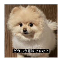 [LINEスタンプ] クリーム♡