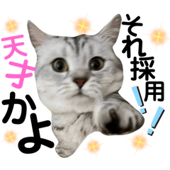 [LINEスタンプ] ねこの銀次くん5