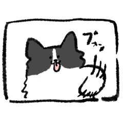 [LINEスタンプ] かわいいボーダーコリーのスタンプ