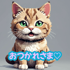 [LINEスタンプ] ねこおもいやりスタンプ