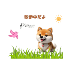 [LINEスタンプ] 柴犬コロの「いま何してる？」