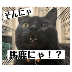 [LINEスタンプ] みいこはちょこくーにももみかめ