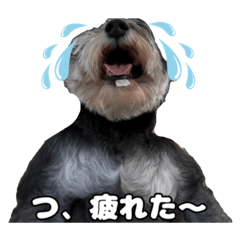 [LINEスタンプ] 日常ォ3