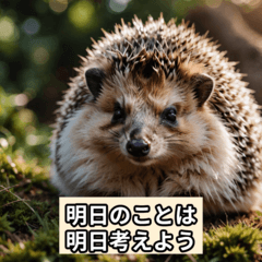 [LINEスタンプ] 自然の魅力：表情豊かな動物スタンプ集