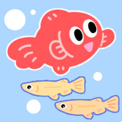 [LINEスタンプ] 金魚とメダカのmixスタンプ