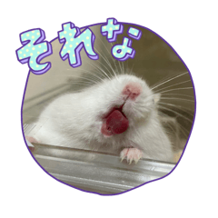 [LINEスタンプ] らすみースタンプ