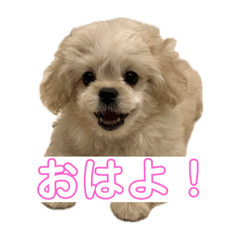 [LINEスタンプ] ぺきぷーのねね