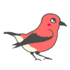 [LINEスタンプ] ハワイの鳥 アパパネのスタンプ