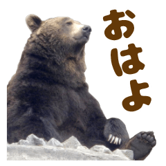 [LINEスタンプ] のぼりべつクマ牧場 公式スタンプ第3弾