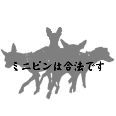 [LINEスタンプ] 蘭丸親衛隊10