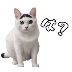 [LINEスタンプ] <超使える>猫ミームと宇宙猫セット