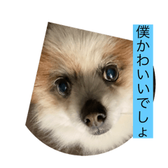 [LINEスタンプ] 家族で使える⭐︎ジョイジョイスタンプ3