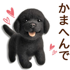 [LINEスタンプ] ずーっと関西弁♡羊毛クロラブの家族連絡