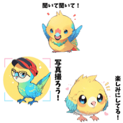 [LINEスタンプ] 可愛いすぎる！セキセイインコだらけ