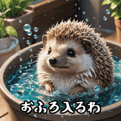 [LINEスタンプ] ハリネズミの気ままな日常