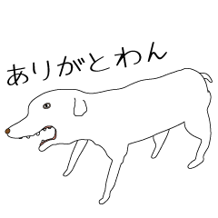 [LINEスタンプ] 白いワンちゃん（犬）の画像（メイン）