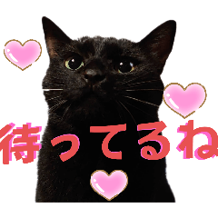 [LINEスタンプ] 我が家の黒猫の福ちゃん❪ 返し言葉❫
