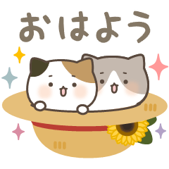 [LINEスタンプ] ねこたちの夏