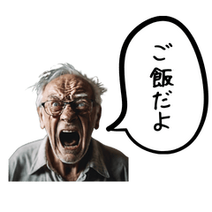 [LINEスタンプ] ご老人の魂の叫び【日常会話】