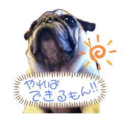 [LINEスタンプ] あぐくんの日常3