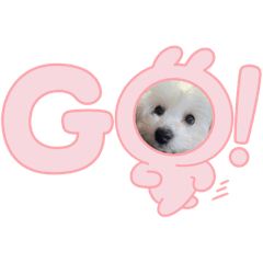 [LINEスタンプ] 愛犬てんくん。