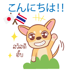 [LINEスタンプ] タイ語・日本語通訳チワワ犬のコッパーくん