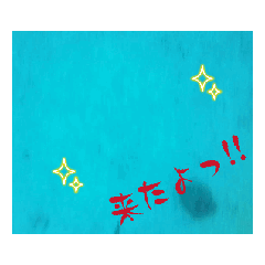 [LINEスタンプ] 烏賊釣り生活