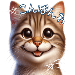 [LINEスタンプ] にゃん日常生活