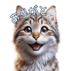 [LINEスタンプ] にゃんこのにゃん気分