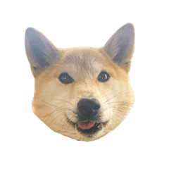 [LINEスタンプ] イヌおにぎり3