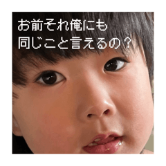 [LINEスタンプ] ちらしゃんがいっぱいスタンプの画像（メイン）
