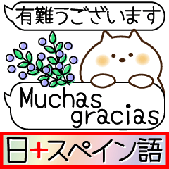 [LINEスタンプ] スペイン語と日本語/Español/お正月/吹出しの画像（メイン）