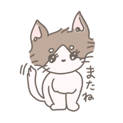 [LINEスタンプ] チワワのあお：）