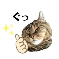 [LINEスタンプ] バニとソラ