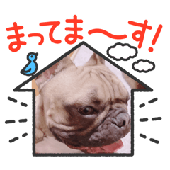 [LINEスタンプ] フレブルラオくん